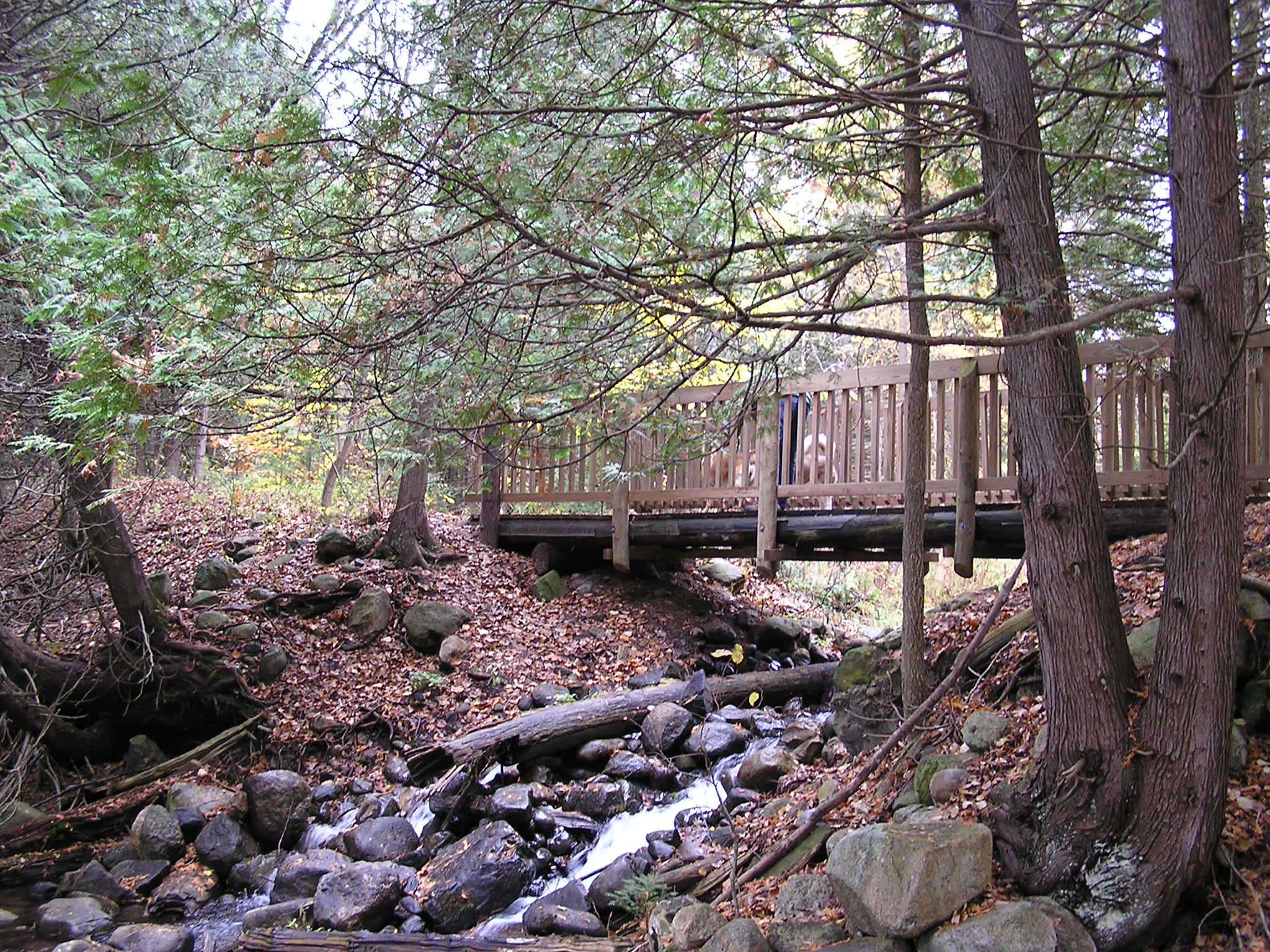 Seven Bridges